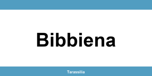 Contatti e servizi CAF a Bibbiena