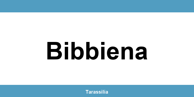 Contatti e servizi CAF a Bibbiena