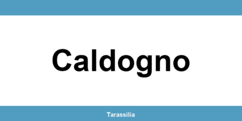 Contatti e servizi CAF a Caldogno