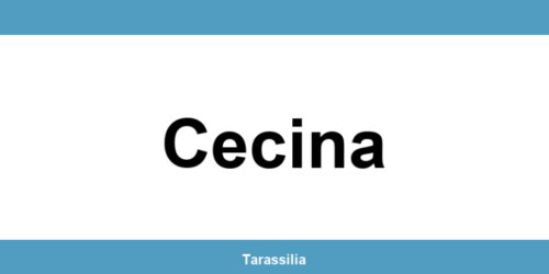 Contatti e servizi CAF a Cecina