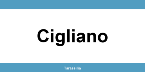 Contatti e servizi CAF a Cigliano