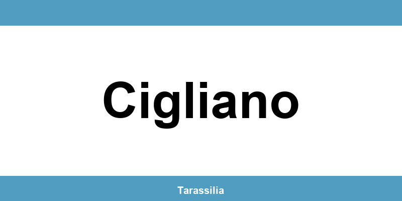 Contatti e servizi CAF a Cigliano