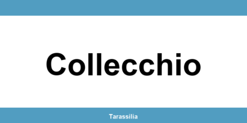 Contatti e servizi CAF a Collecchio