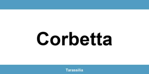 Contatti e servizi CAF a Corbetta