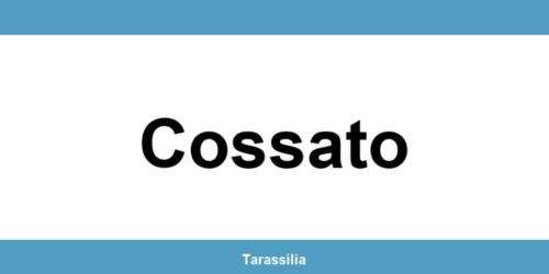 Contatti e servizi CAF a Cossato