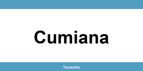 Contatti e servizi CAF a Cumiana