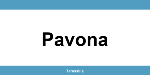 Contatti e servizi CAF a Pavona