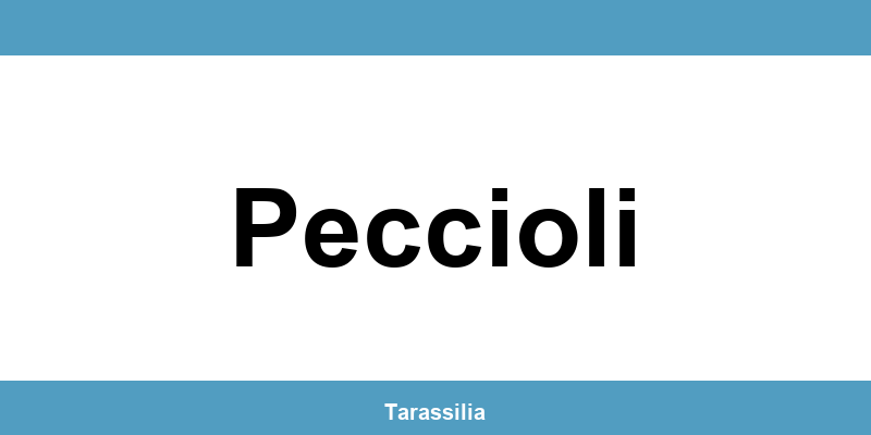 Contatti e servizi CAF a Peccioli