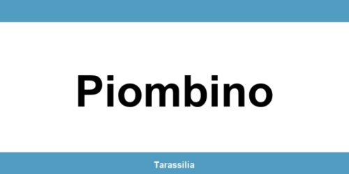 Contatti e servizi CAF a Piombino