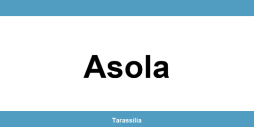 Contatti e servizi CAF a Asola