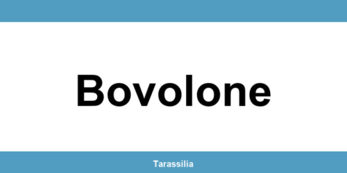 Contatti e servizi CAF a Bovolone