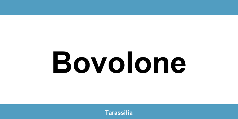 Contatti e servizi CAF a Bovolone