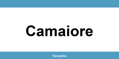 Contatti e servizi CAF a Camaiore