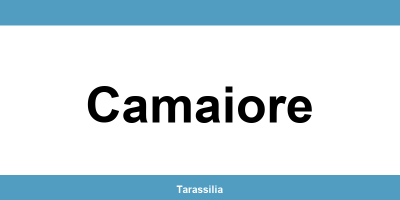 Contatti e servizi CAF a Camaiore
