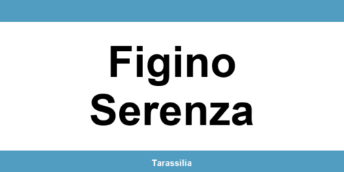 Contatti e servizi CAF a Figino Serenza