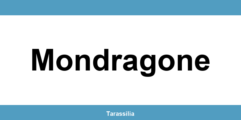 Contatti e servizi CAF a Mondragone