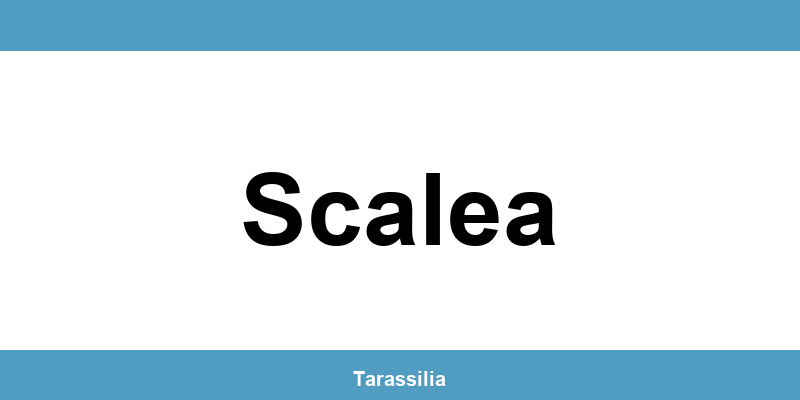 Contatti e servizi CAF a Scalea