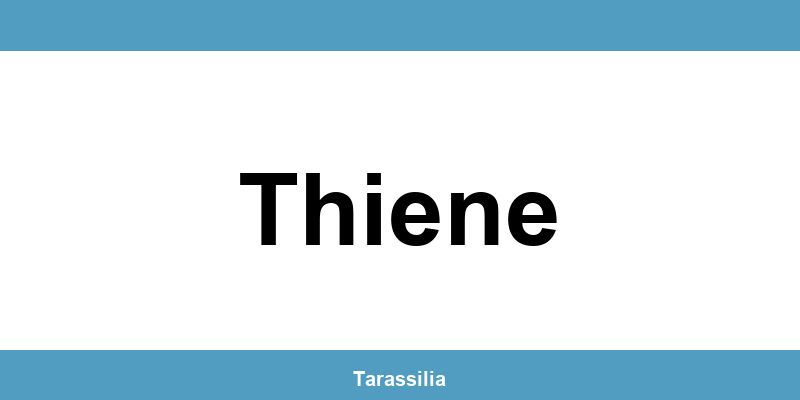 Contatti e servizi CAF a Thiene