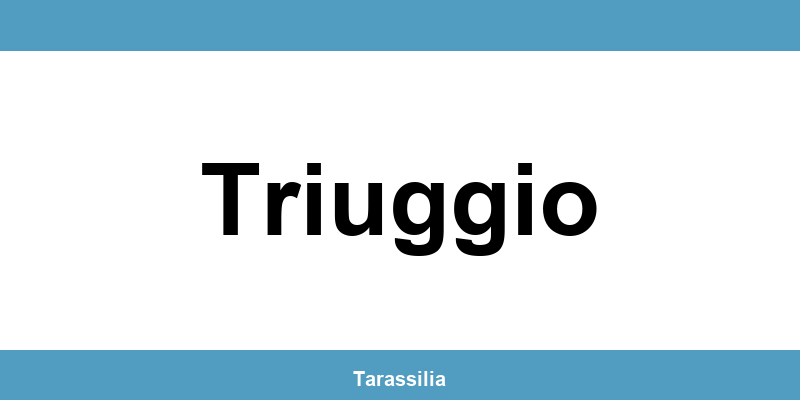 Contatti e servizi CAF a Triuggio