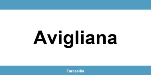 Contatti e servizi CAF a Avigliana