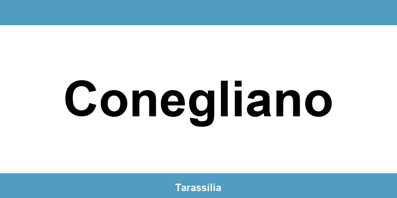 Contatti e servizi CAF a Conegliano