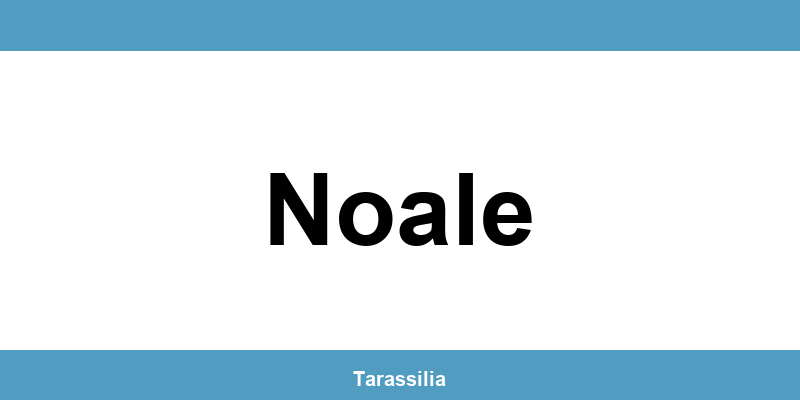 Contatti e servizi CAF a Noale