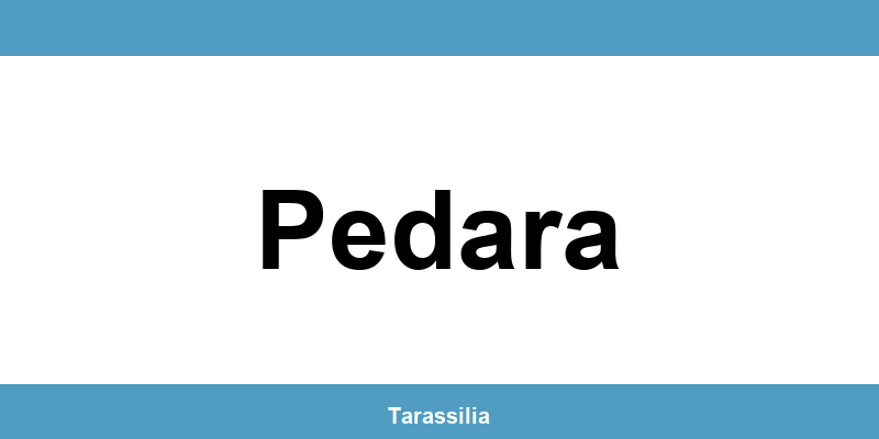 Contatti e servizi CAF a Pedara