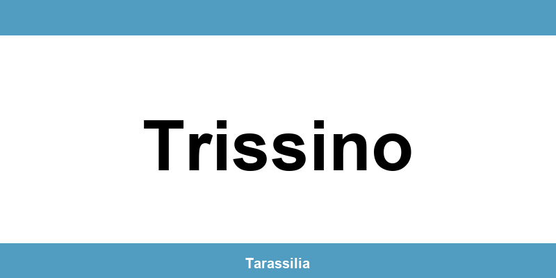 Contatti e servizi CAF a Trissino