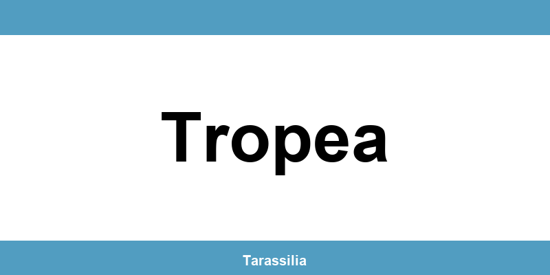 Contatti e servizi CAF a Tropea