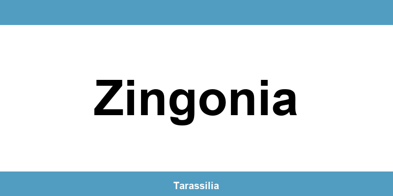 Contatti e servizi CAF a Zingonia