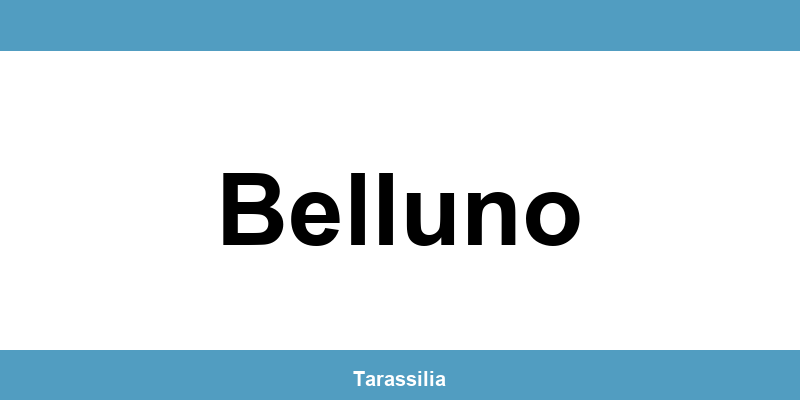 Contatti e servizi CAF a Belluno