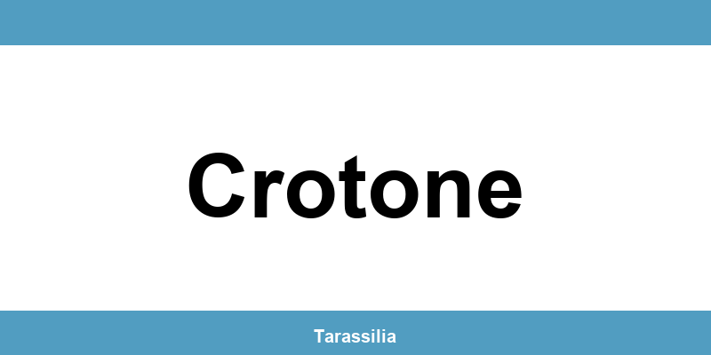 Contatti e servizi CAF a Crotone