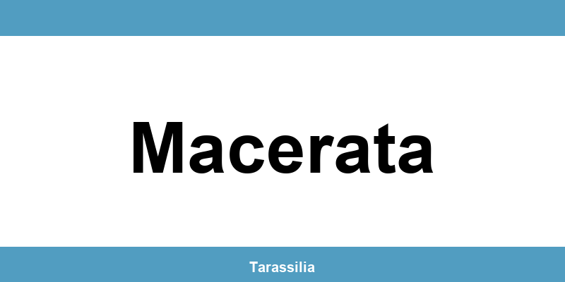 Contatti e servizi CAF a Macerata