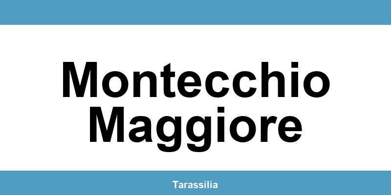 Contatti e servizi CAF a Montecchio Maggiore