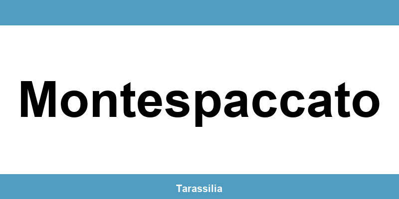 Contatti e servizi CAF a Montespaccato
