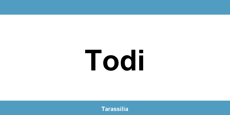 Contatti e servizi CAF a Todi