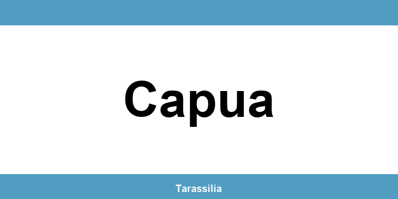 Contatti e servizi CAF a Capua