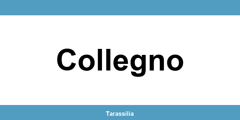 Contatti e servizi CAF a Collegno