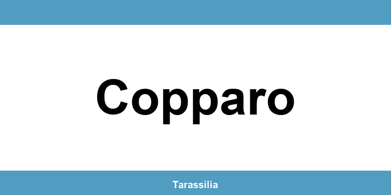 Contatti e servizi CAF a Copparo