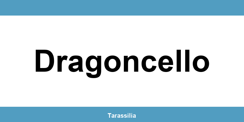 Contatti e servizi CAF a Dragoncello