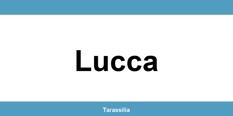 Contatti e servizi CAF a Lucca