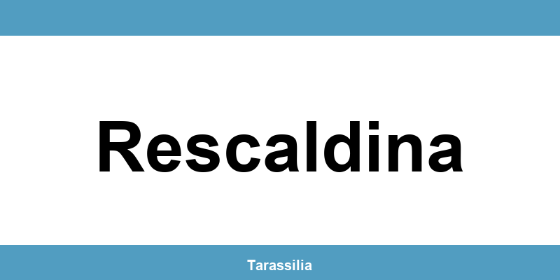 Contatti e servizi CAF a Rescaldina