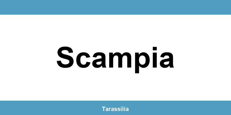 Contatti e servizi CAF a Scampia