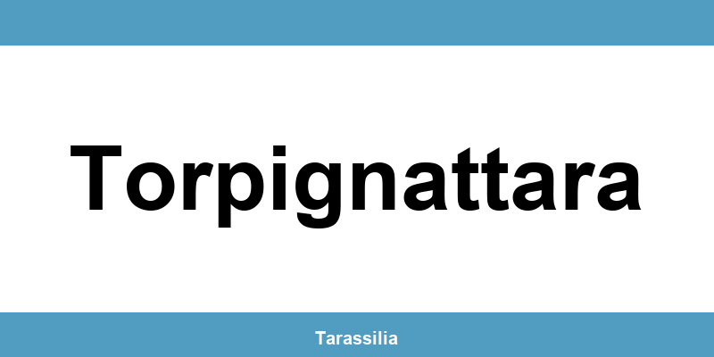 Contatti e servizi CAF a Torpignattara