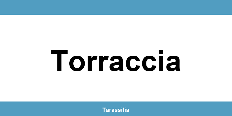 Contatti e servizi CAF a Torraccia