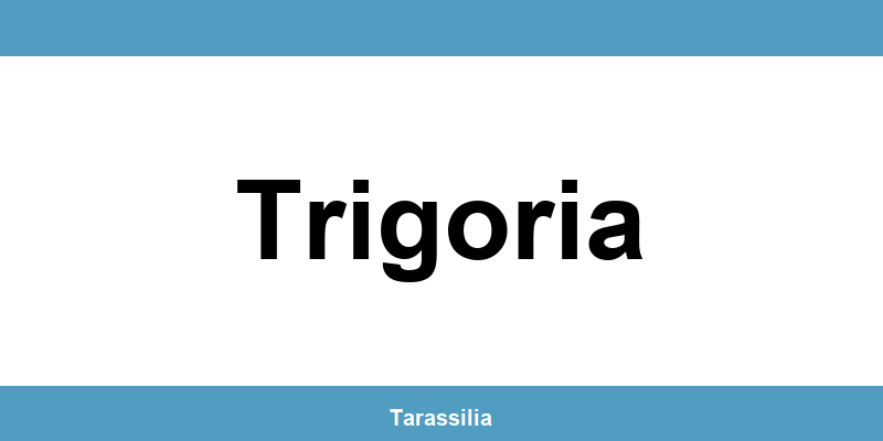 Contatti e servizi CAF a Trigoria