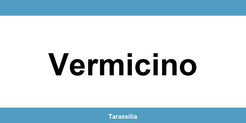Contatti e servizi CAF a Vermicino