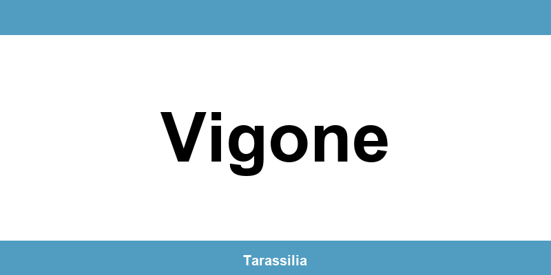 Contatti e servizi CAF a Vigone